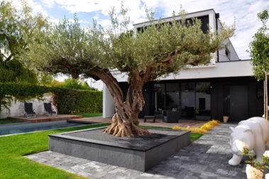 Finition esthétique